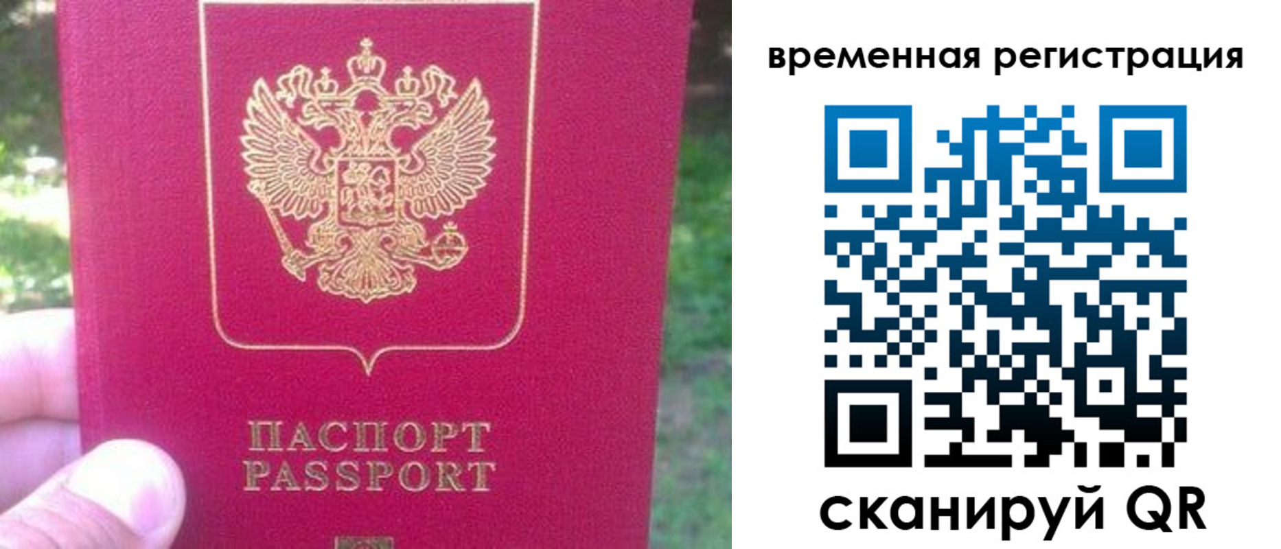 временная регистрация для школы в Чаплыгине